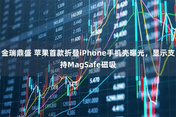 金瑞鼎盛 苹果首款折叠iPhone手机壳曝光，显示支持MagSafe磁吸