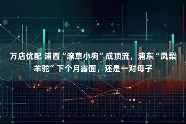 万店优配 浦西“潦草小狗”成顶流，浦东“凤梨羊驼”下个月露面，还是一对母子